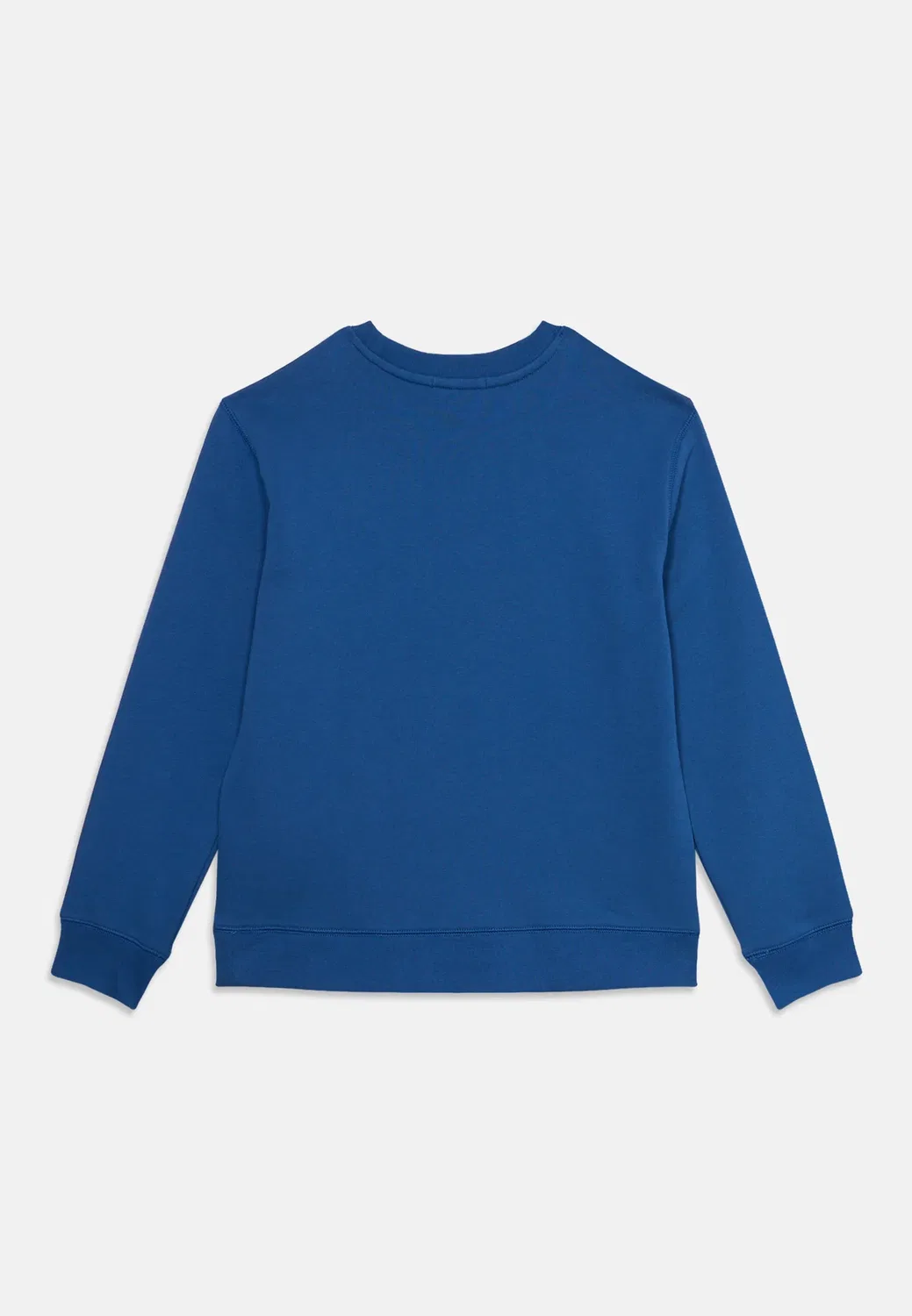 Толстовка Polo Ralph Lauren, Dusty Azure — фото 2