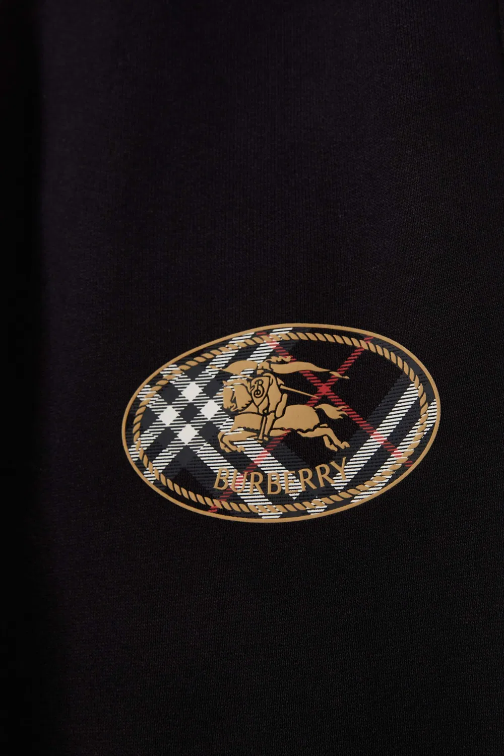 Худи на молнии Clyde EKD Burberry — фото 4