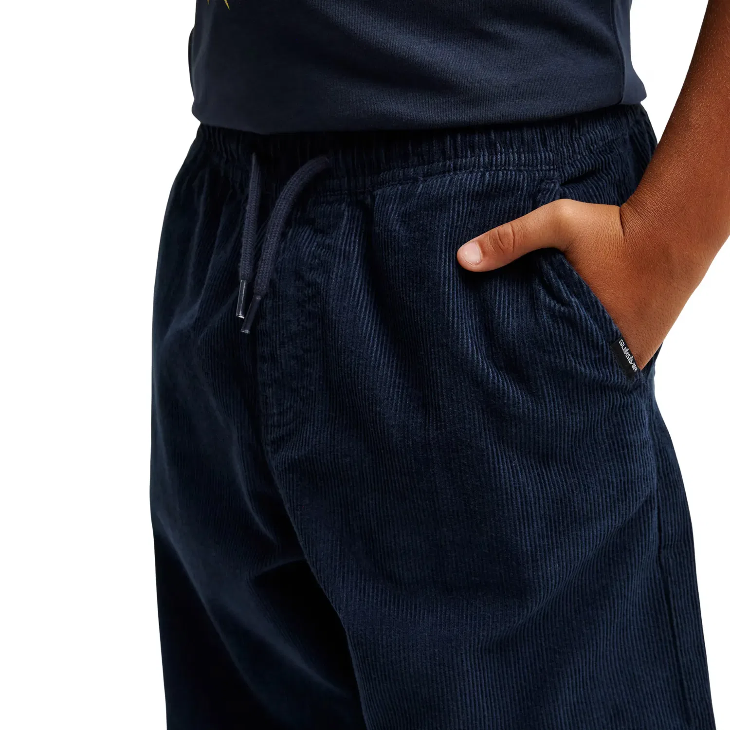 Детские штаны для мальчиков хлопковые Taxer Cord Quiksilver, Azul — фото 4