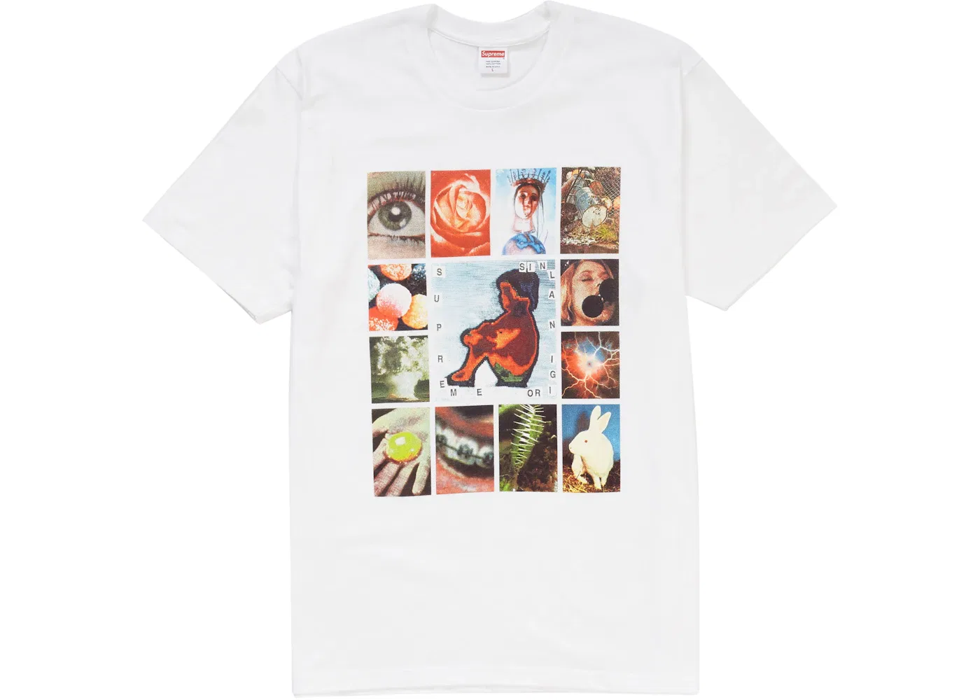 Мужская футболка с принтом Supreme Original Sin Tee, White