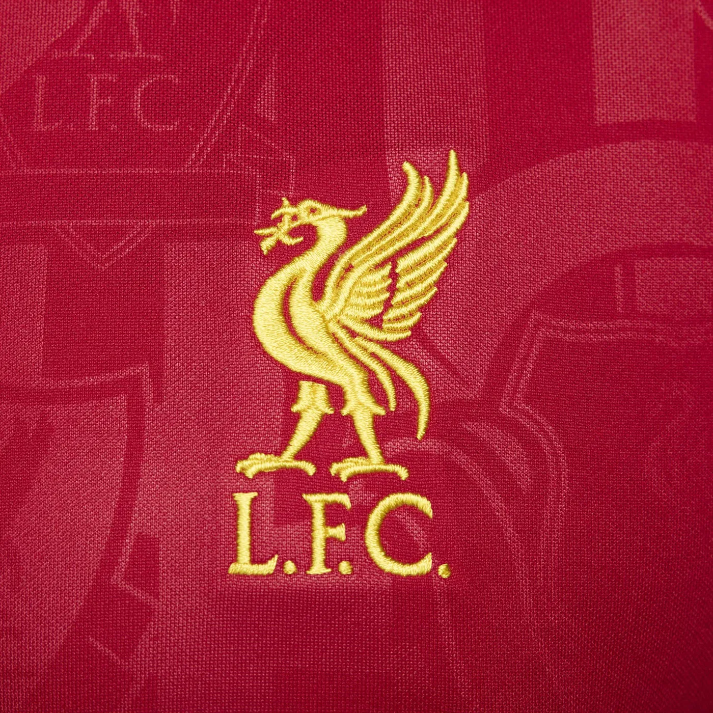 Футболка с принтом Liverpool FC Academy Pro Nike, красный — фото 4