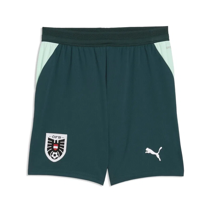 Спортивные брюки PUMA Regular Workout Pants 'Osterreich 2026' в пастельно-зеленом и темно-зеленом цветах