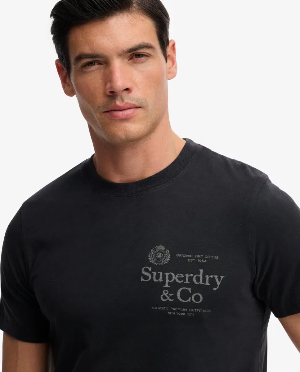 Мужская футболка, Relaxed 1954 Company, Superdry, темно-синий — фото 4