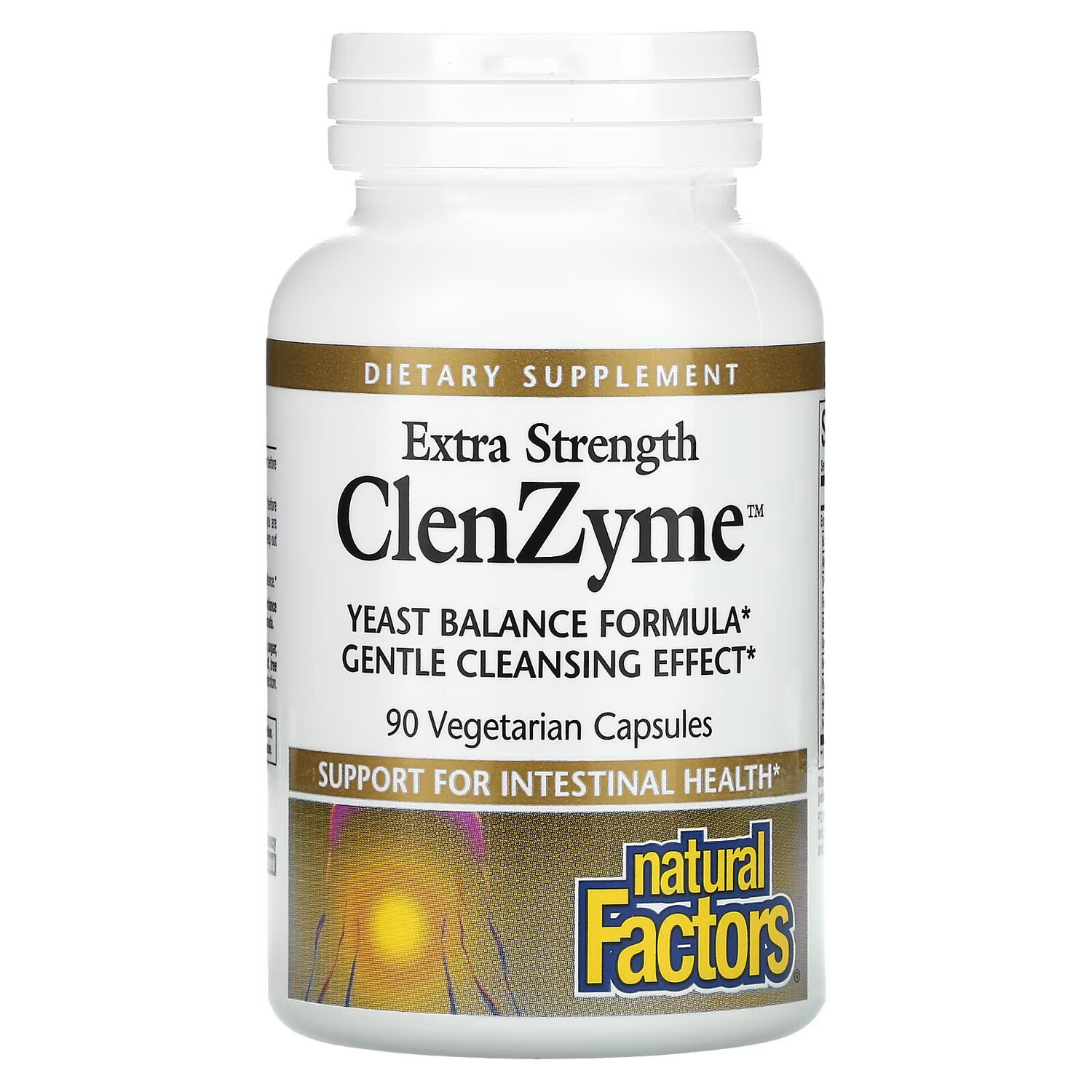 

Natural Factors, Сверхмощный ClenZyme, 90 вегетарианских капсул