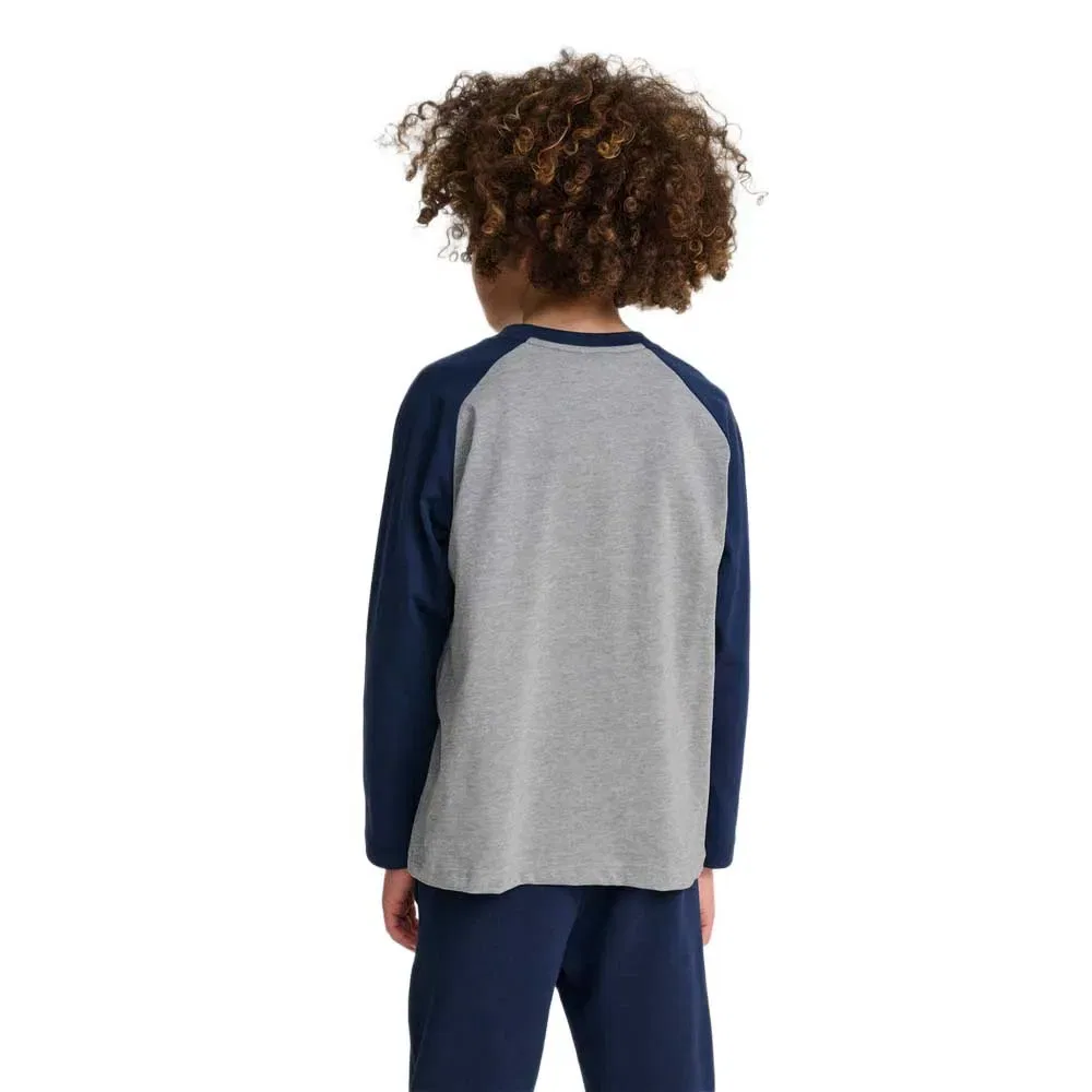 Футболка с длинным рукавом Raglan Loose Bee Hummel, серый — фото 2