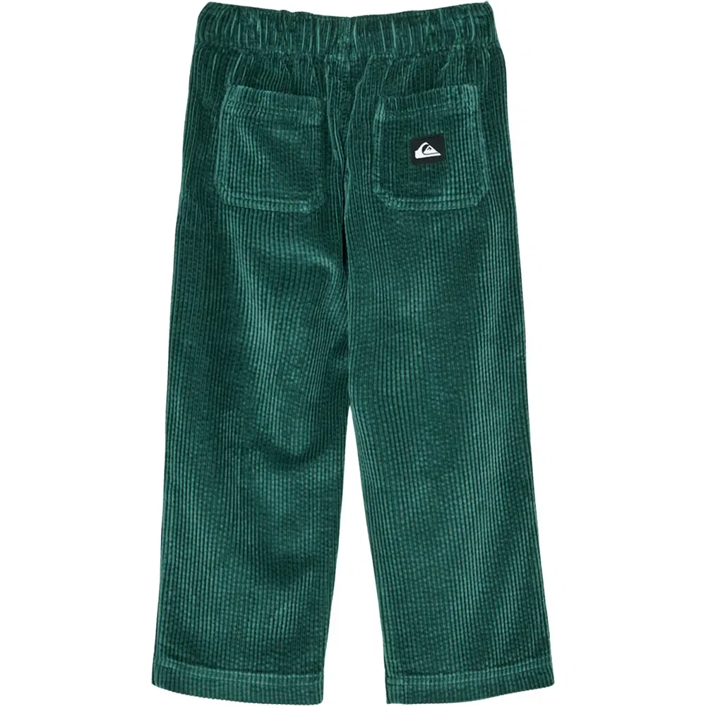 Детские брюки для мальчиков из вельвета Quiksilver, Green — фото 4