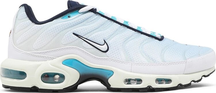 

Кроссовки Nike Air Max Plus 'Psychic Blue', синий