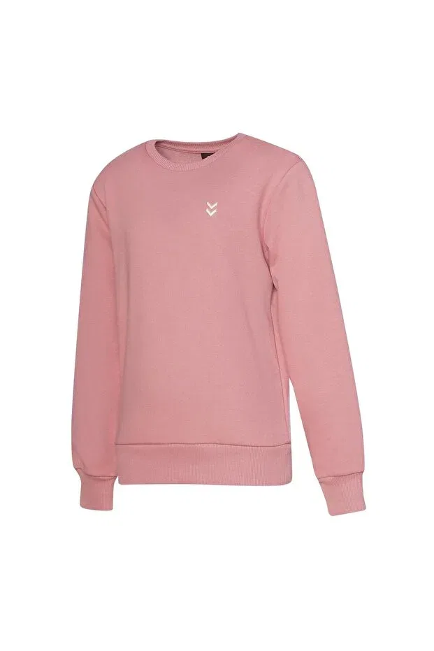 Детские свитшот для мальчиков с длинным рукавом hmlpulse Hummel, Rose Dry