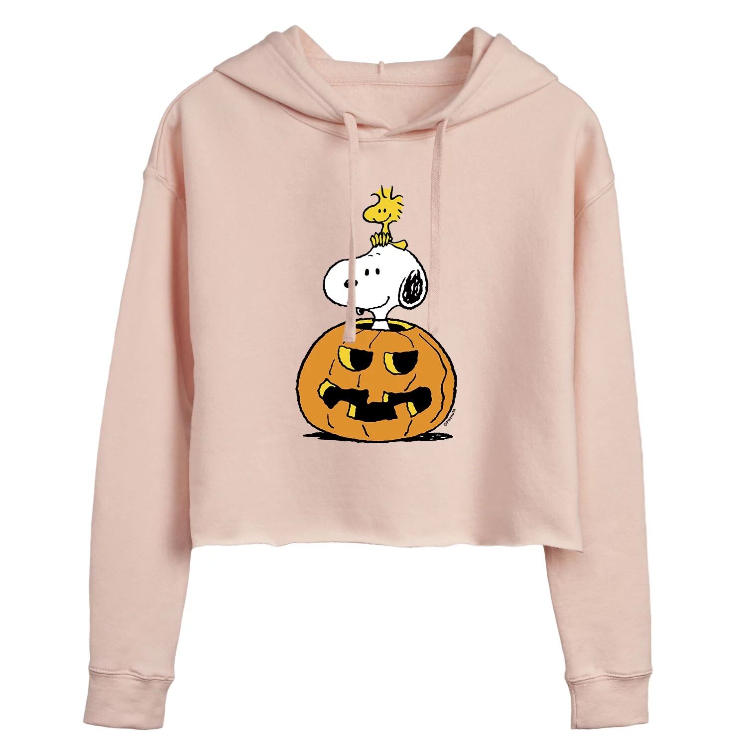 

Укороченная толстовка с рисунком тыквы Juniors' Peanuts Snoopy & Woodstock Licensed Character