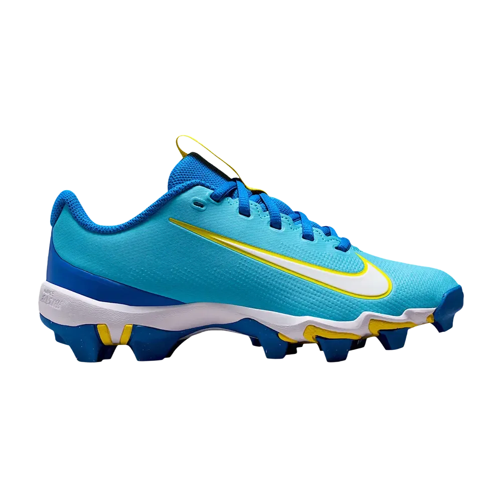 Кроссовки Nike Vapor Shark 3 GS, синий