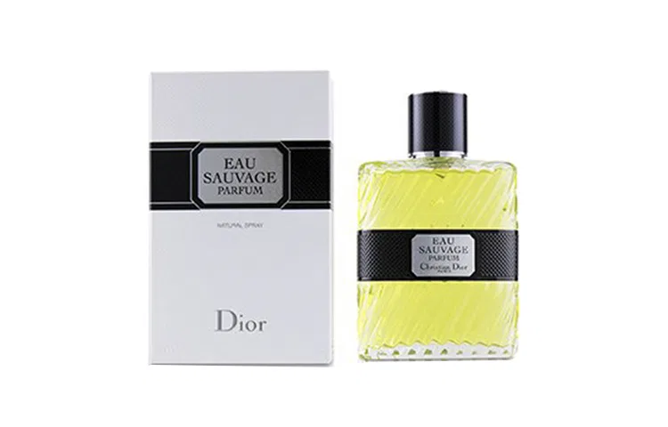 Мужская туалетная вода Dior Fresh Water Dark Scent Edition, 100 мл, Citrus Scent Parfum, Bergamot Petitgrain Vetiver, DIOR, Dark Scent
