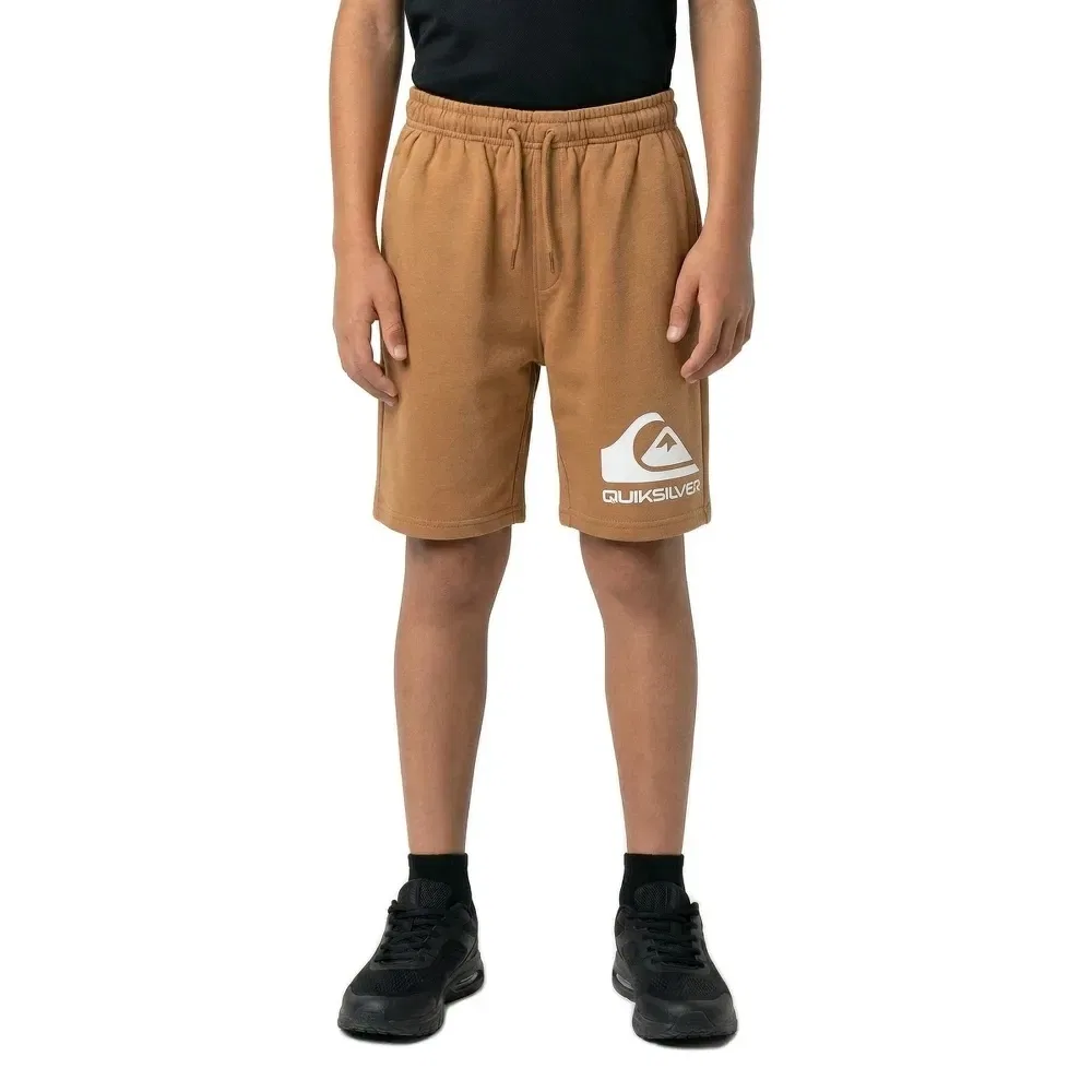 Шорты спортивные Easy Day Quiksilver, коричневый — фото 3