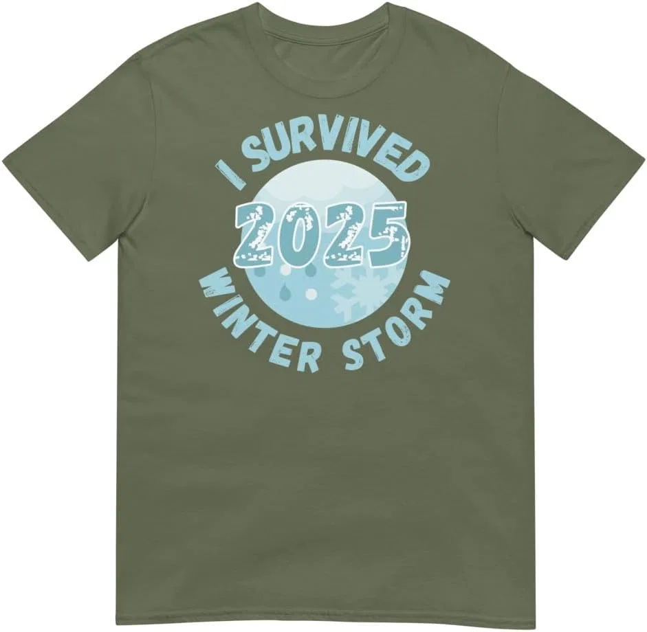 Мужская футболка с коротким рукавом I Survived Winter Snow Storm 2025 Ice Storm Survivor, хаки