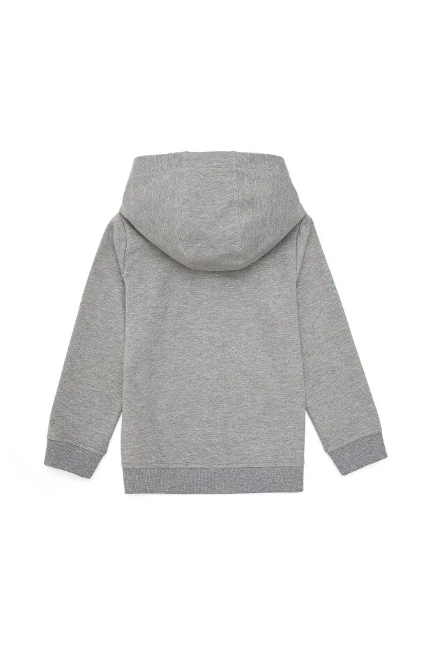 Детские свитшот для девочек с капюшоном U.S. Polo Assn., Gray Melange — фото 4