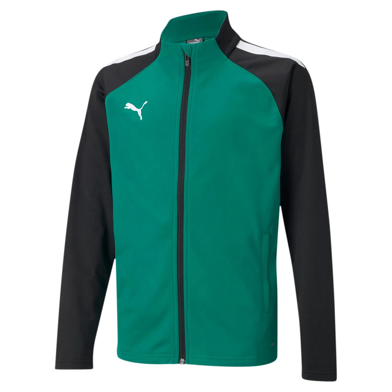 Детская тренировочная куртка teamLIGA Training Jacket Jr Puma, Alpingrun Schwarz