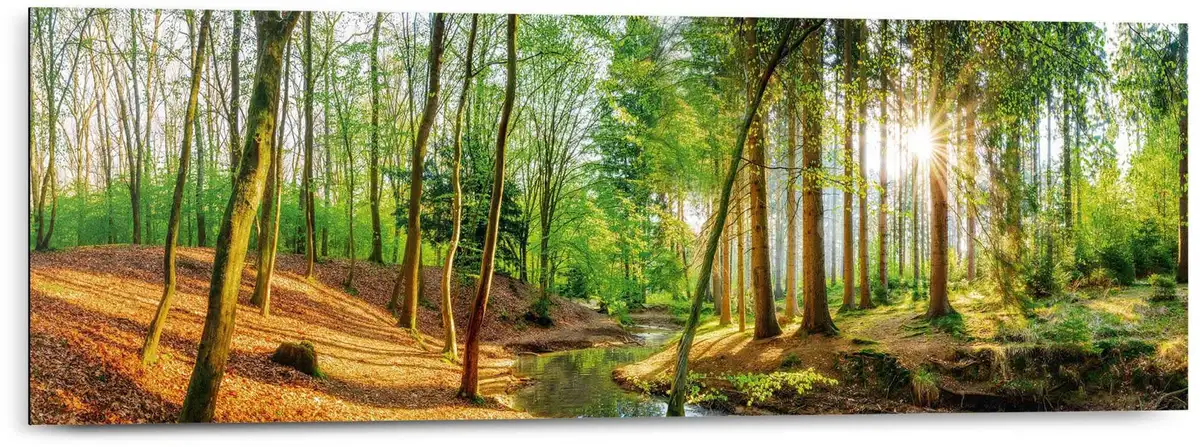 

Рейндерс! Деко-панно "Солнечный Лес" Reinders! 90х30х2 см, цвет B/H/T: 90 cm x 30 cm x 2 cm