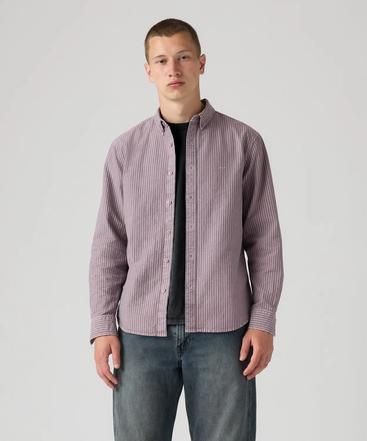 Мужская рубашка с длинным рукавоми принтом в полоску, модель Authentic Button Down Levi's, Purple — фото 2