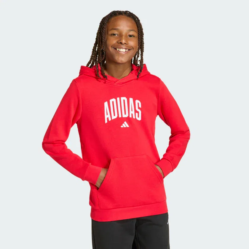 Детская толстовка adidas CODES COLLEGIATE GRAPHIC, Pure Ruby — фото 3
