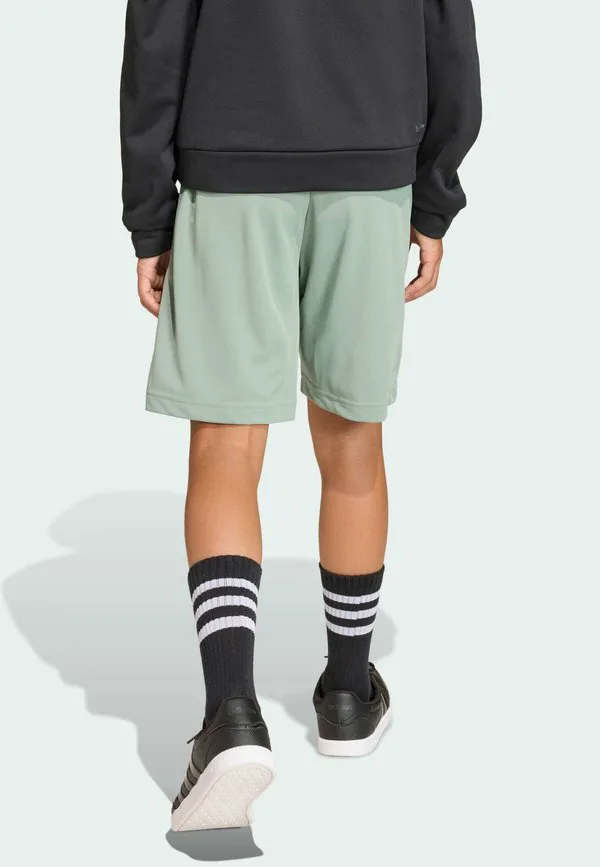 Спортивные штаны minecraft Adidas Sportswear, Silver Green — фото 2