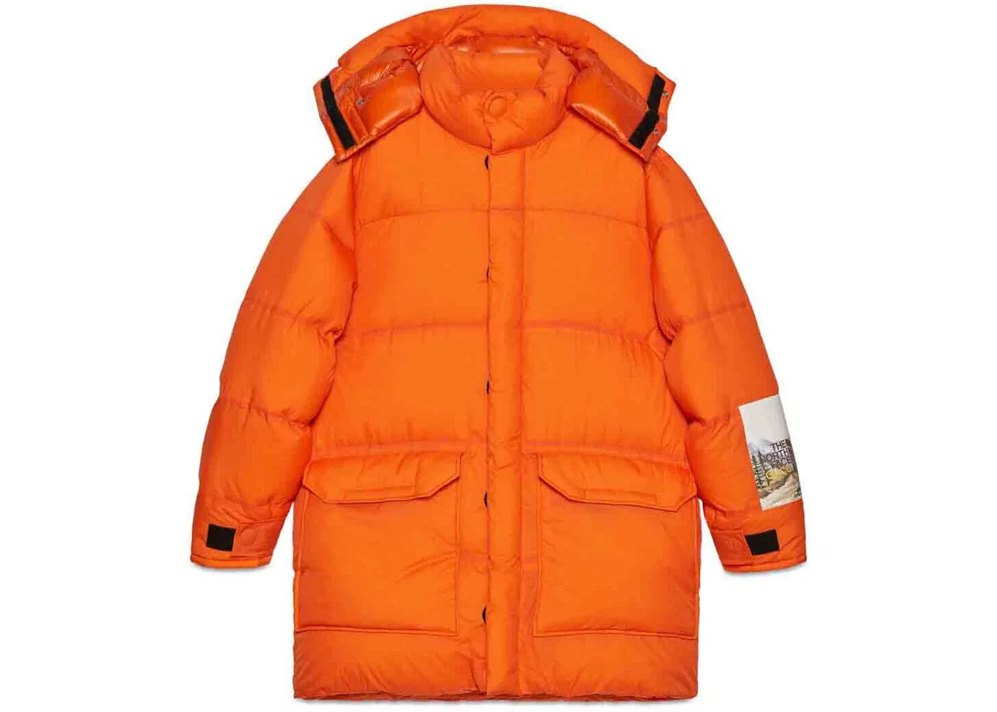 Мужская пуховая куртка Gucci x The North Face Down Jacket, Orange