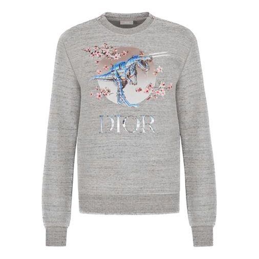 

Худи DIOR Tyrannosaurus Rex Cherry Blossom Zipper Sweater Unisex Grey, серый