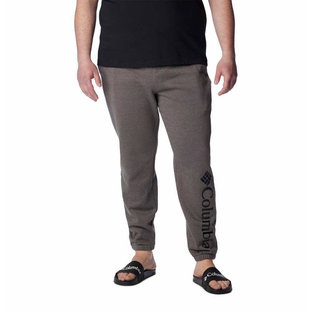 

Брюки Columbia M Trek™, серый