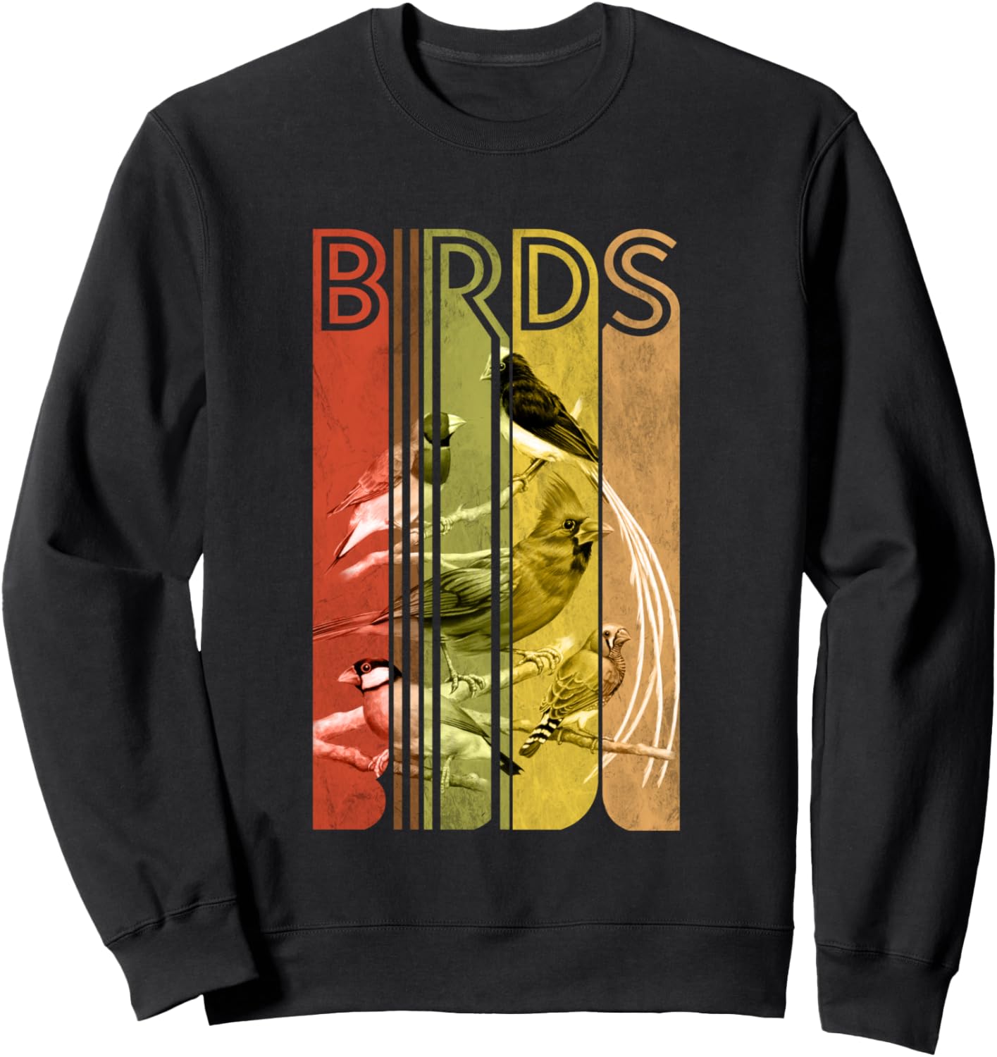 

Толстовка с изображением птицы в стиле ретро-винтаж Colorful Songbird Enthusiasts Nature Wild, черный