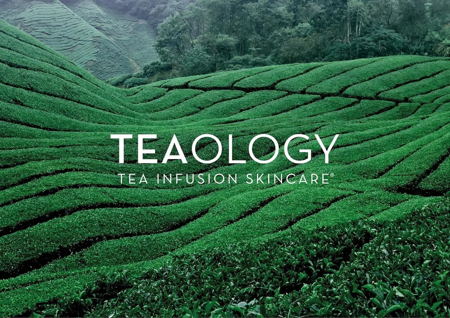 Крем для рук и ногтей Teaology Blue Tea, 75 мл Teaology — фото 3