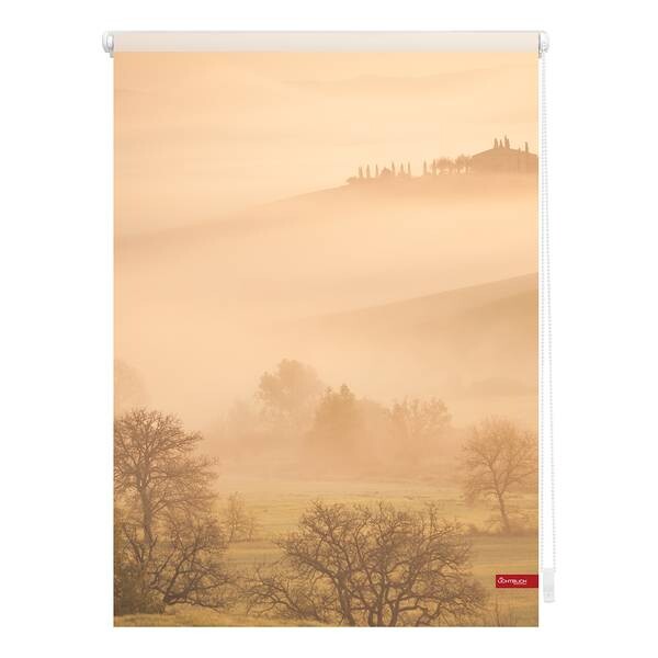 

Рулонные шторы Lichtblick Toskana, 60x150x6 см цвет orange/braun