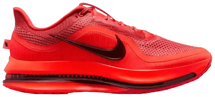 

Кроссовки Nike Pegasus Premium, красный