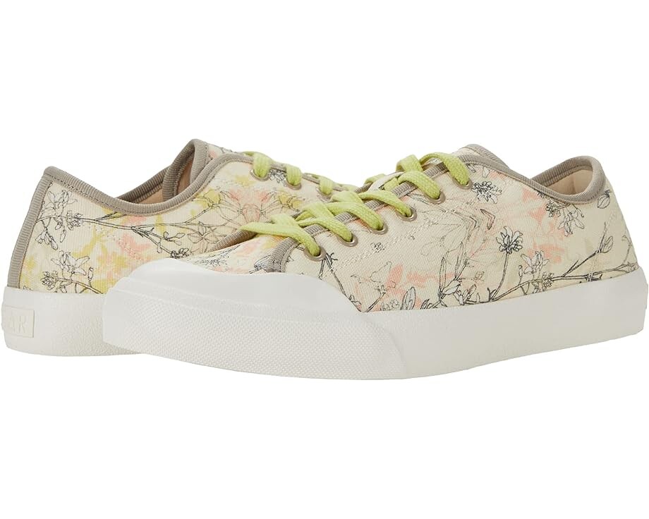 

Кроссовки Dolce Vita Bryton x CLEAR, цвет Cream Multi Floral Canvas