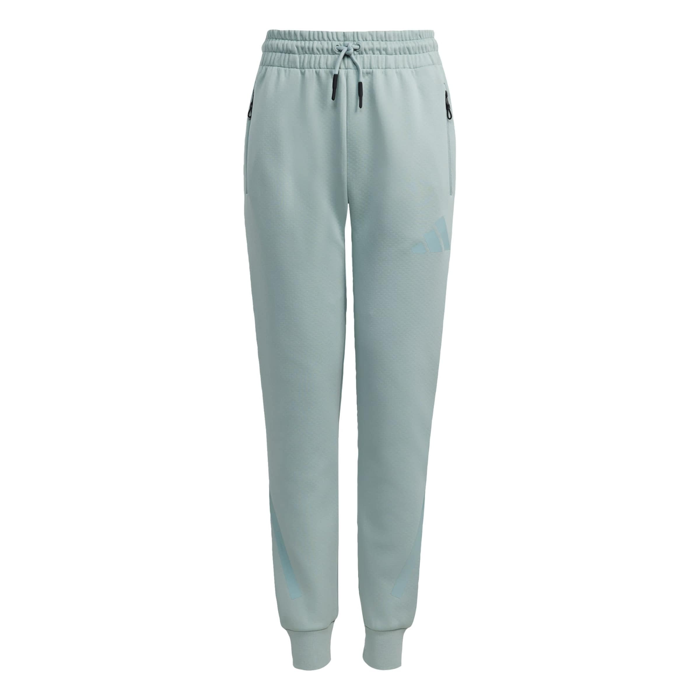 

Adidas Sportswear Узкие спортивные штаны 'Z.N.E.' в пастельно-зеленом цвете