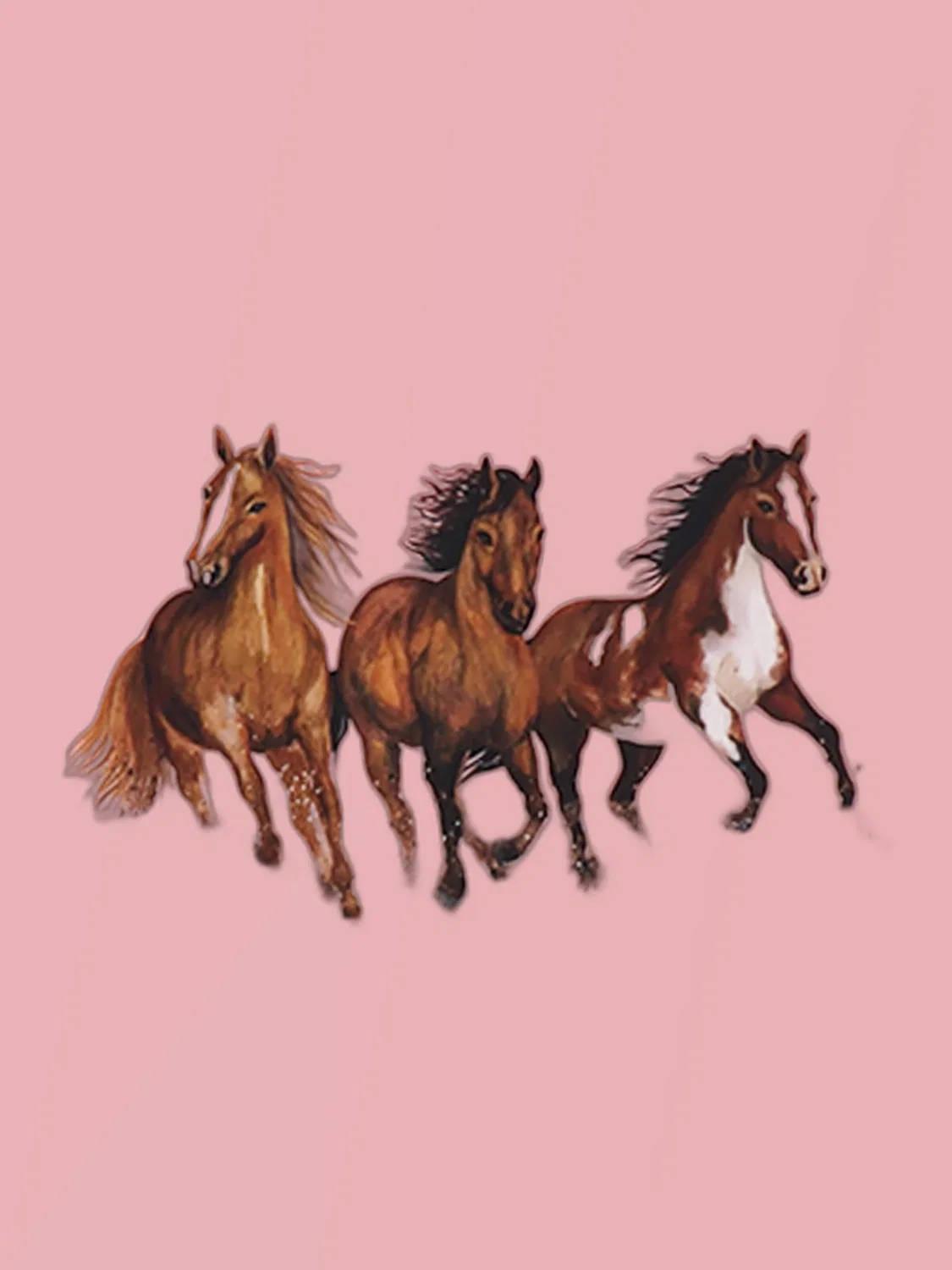 Футболка 'Walkiddy - Graceful Horses T-Shirt' Walkiddy, Rose — фото 4