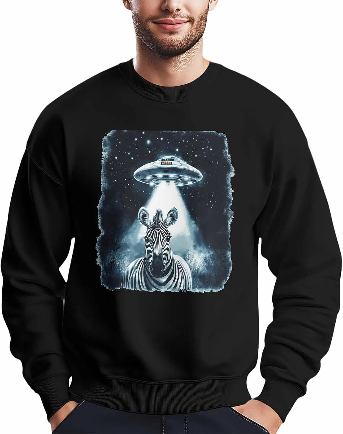 

Мужской свитшот с принтом Zebra Spaceship, лонгслив Winvebermior