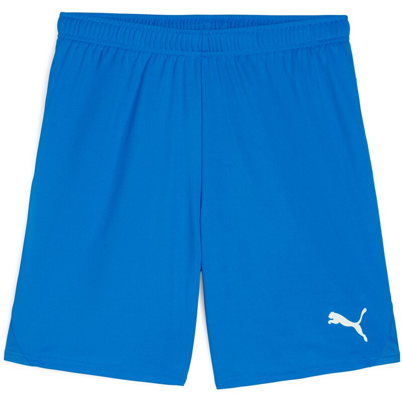 

Шорты для командных ворот Puma, белый