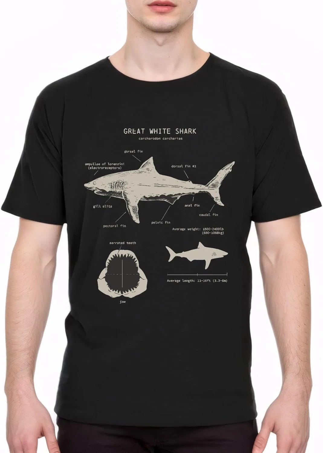 

Футболка с принтом "Диаграмма большой белой акулы" для мужчин — ретро научный дизайн NEKO MENA