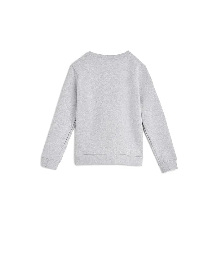 Свитшот флисовый Core Fleece Crew Lacoste Kids, Argent Chine Heather — фото 2