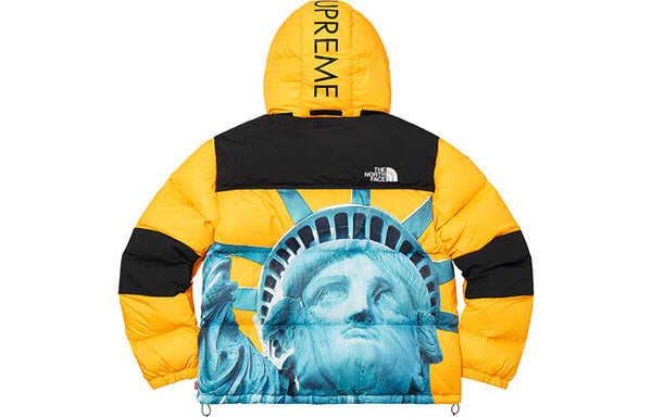 Куртка x the north face statue of liberty mountain jacket 'yellow' Supreme, желтый — фото 2
