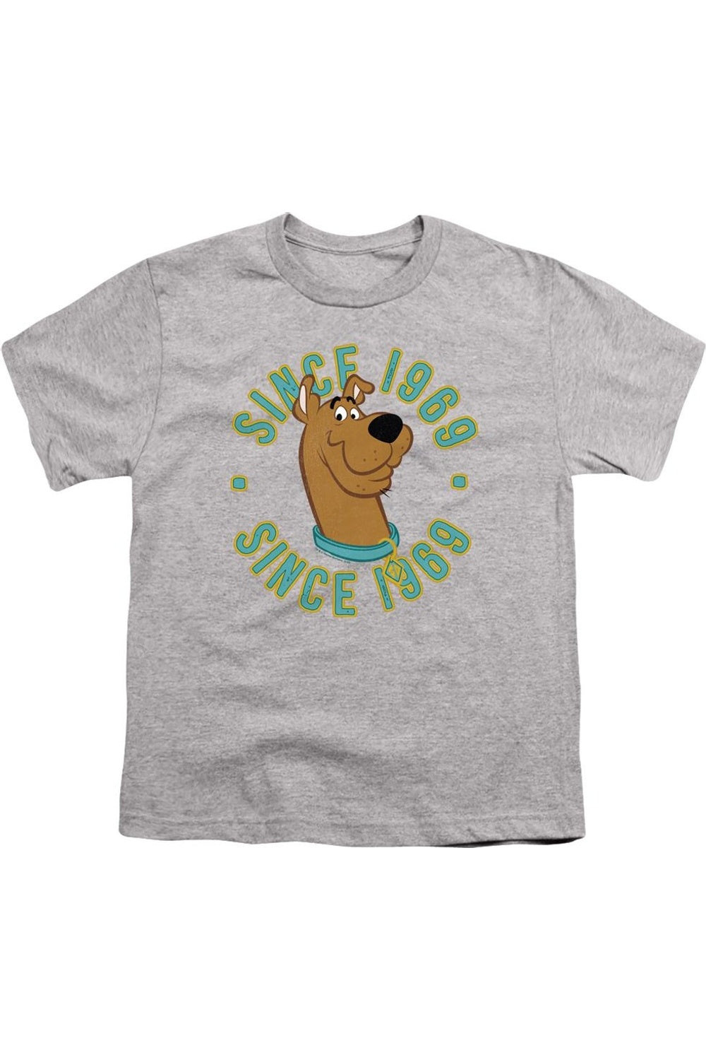 

Футболка с коротким рукавом Scooby Doo Scooby 1969 для детей Gildan, Athletic Heather