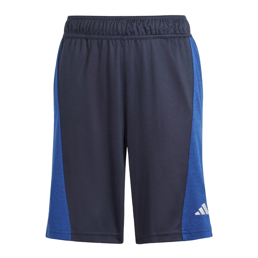

Шорты ADIDAS SPORTSWEAR Regular Workout Pants, синий