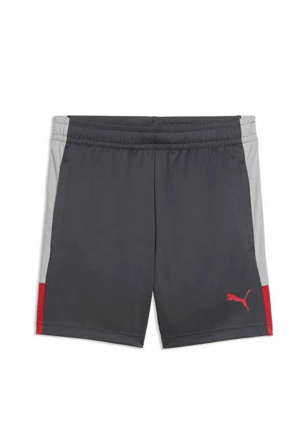 Индивидуальные тренировочные шорты для юниоров. Puma, Gray Echo-Dusky Gray-Puma Red