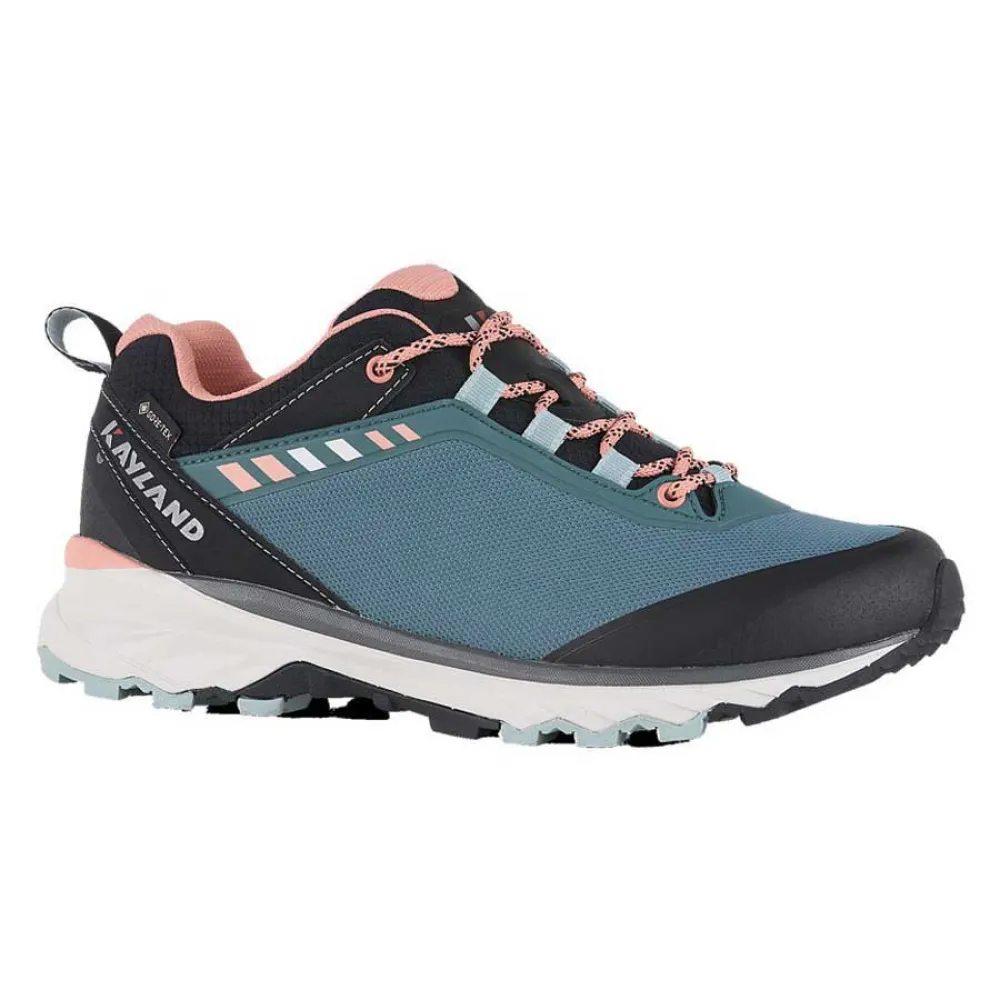 

Походная обувь Kayland Strider Goretex, разноцветный