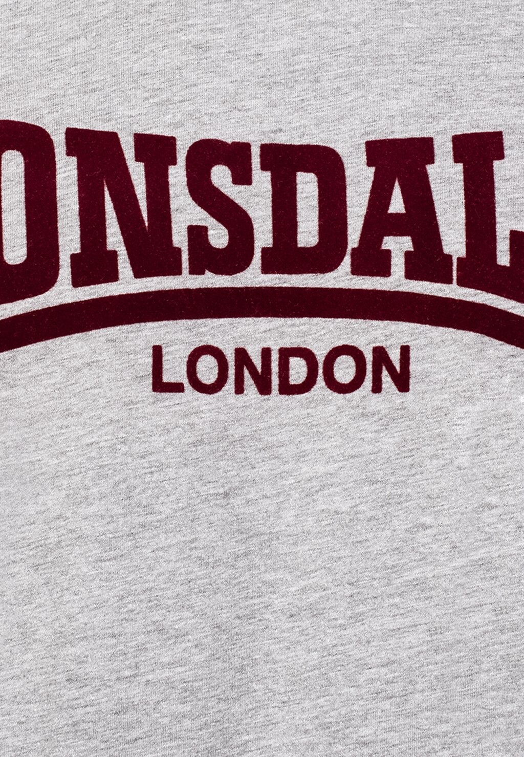 

Футболка с принтом ONE TONE Lonsdale, серый