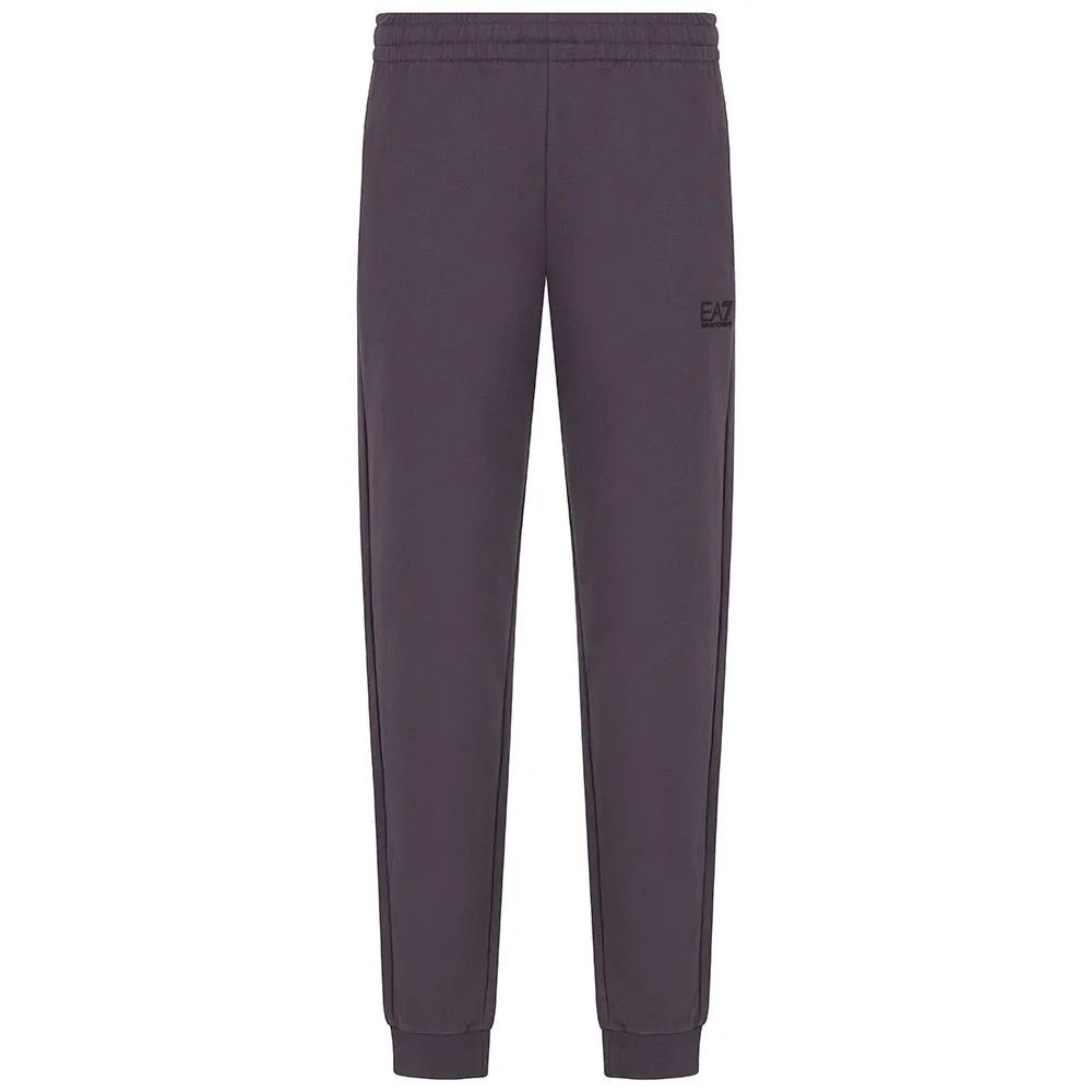 

Спортивные брюки EA7 EMPORIO ARMANI 8NPP66_PJVRZ, серый