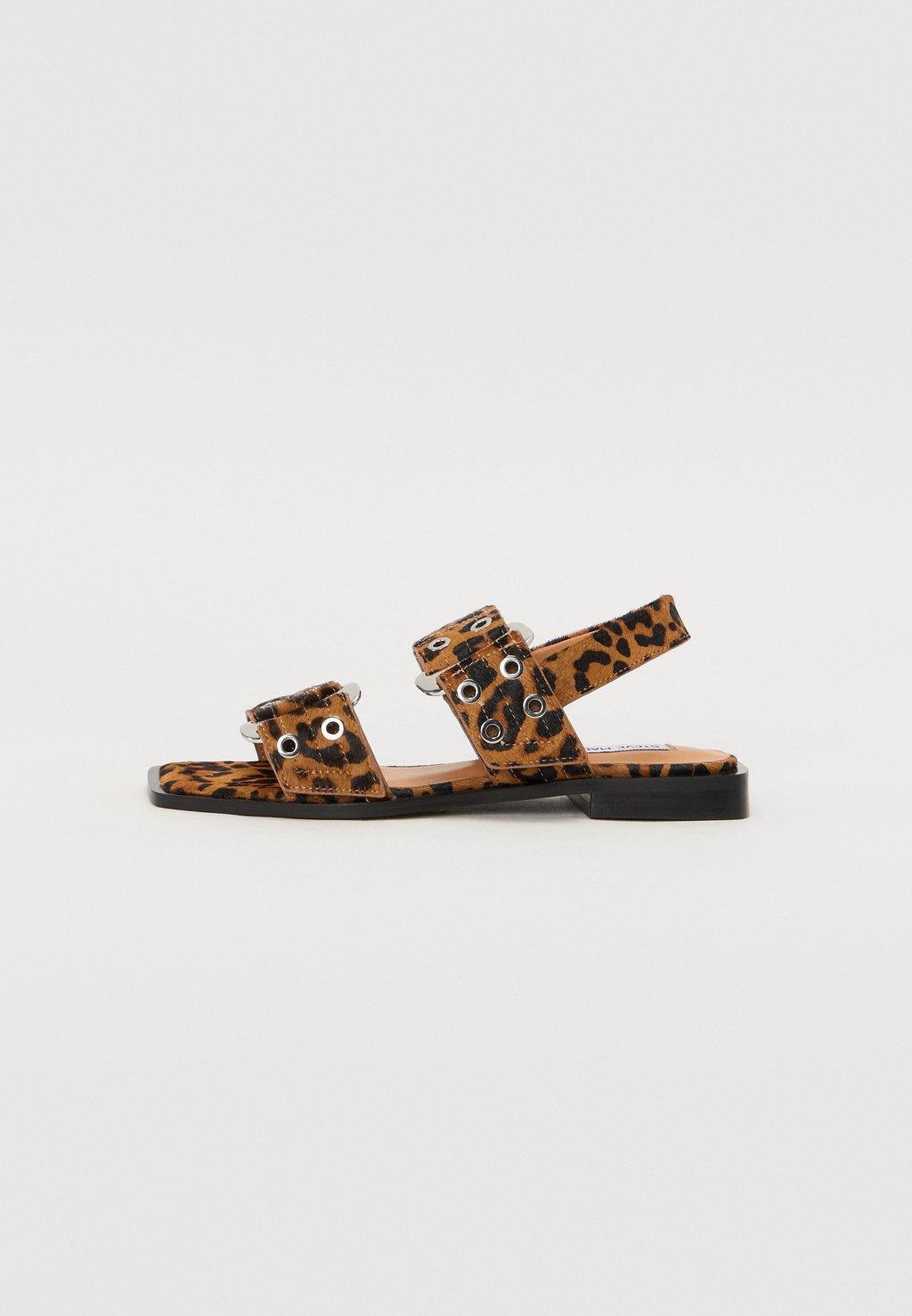 Сандалии SARIA Steve Madden, коричневый