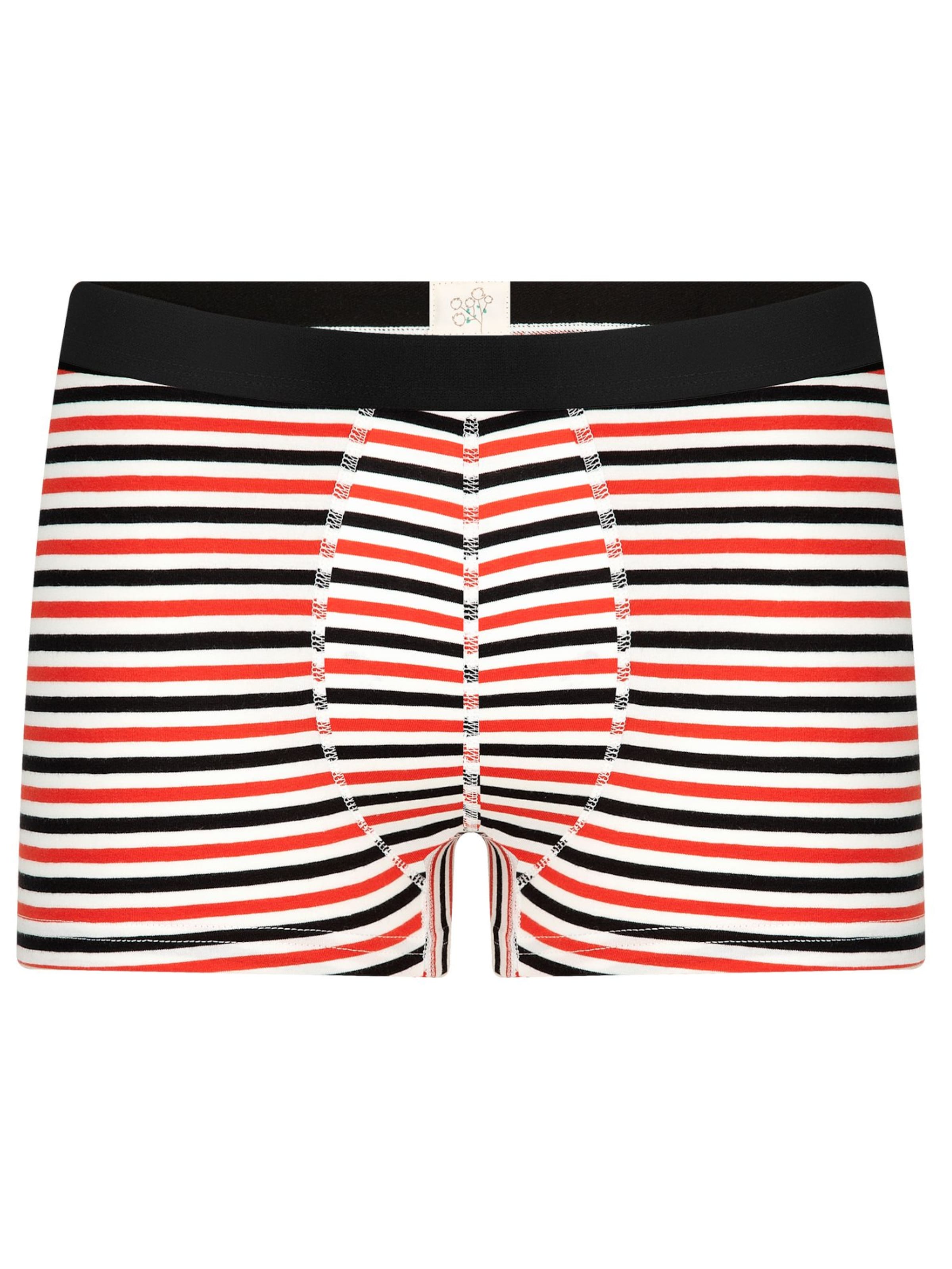 

Albero Natur Боксеры в белом цвете