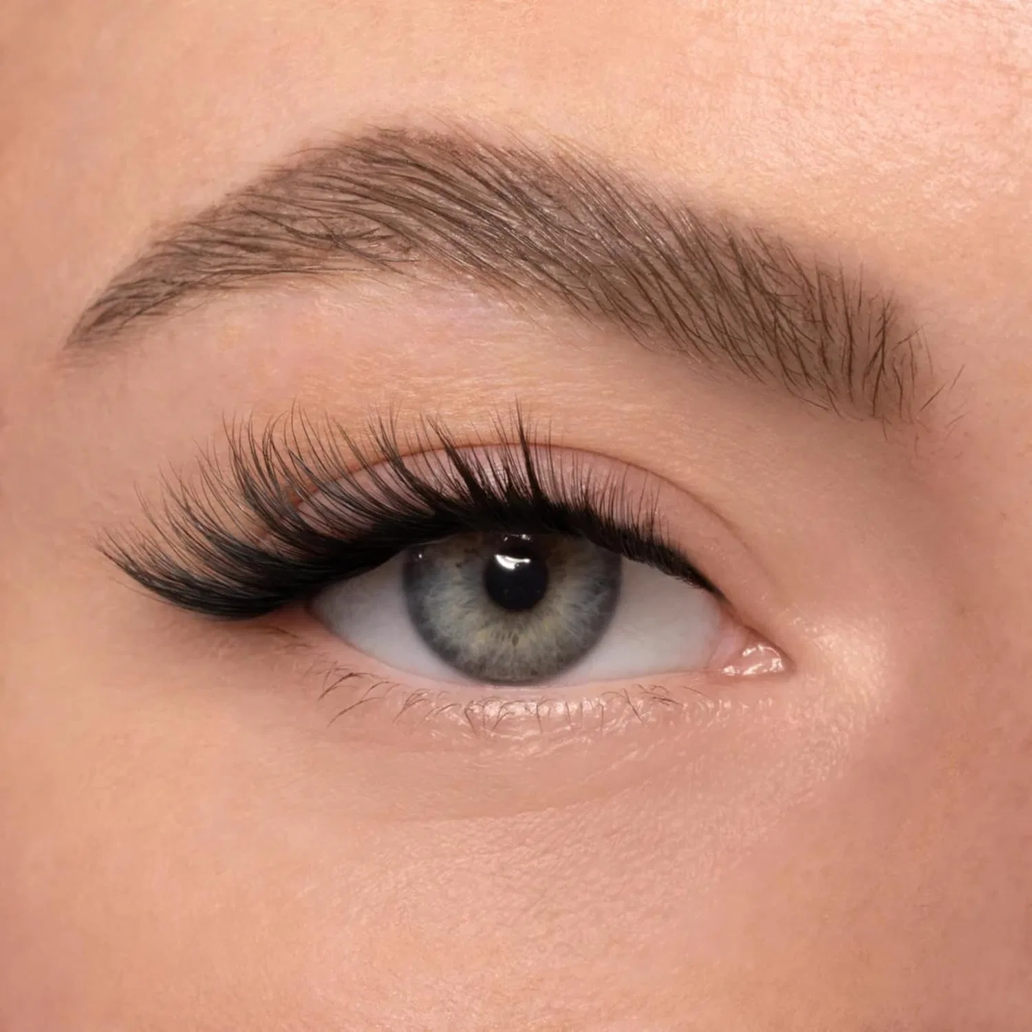 Стартовый набор для наращивания ресниц «Foxy Eyes» от AYLASHES Aylashes — фото 2