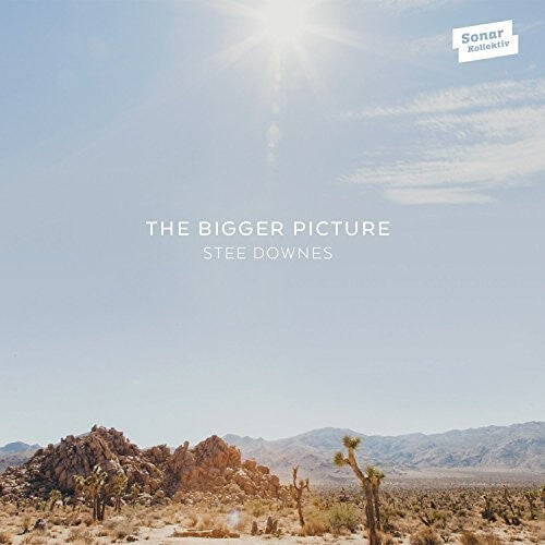 

CD диск Downes, Stee: Bigger Picture