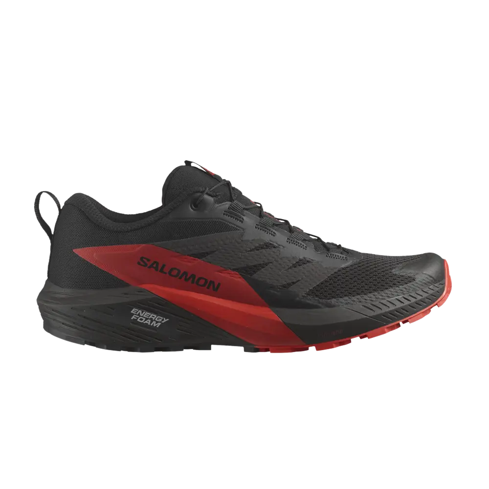 

Кроссовки Sense Ride 5 Salomon, черный