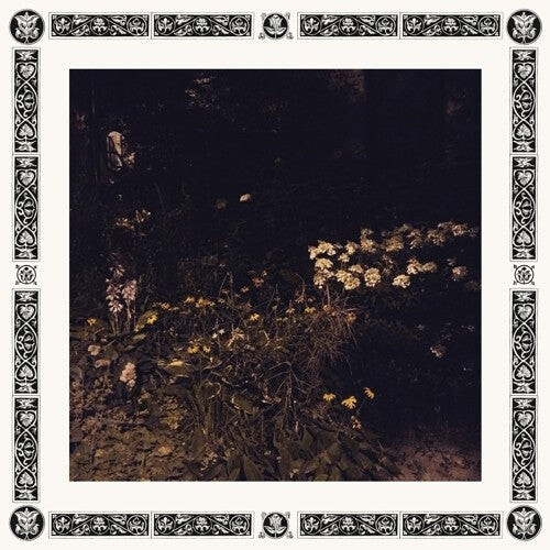 

Виниловая пластинка Davachi, Sarah: Pale Bloom